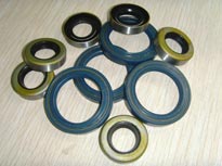 Oil Seals-002